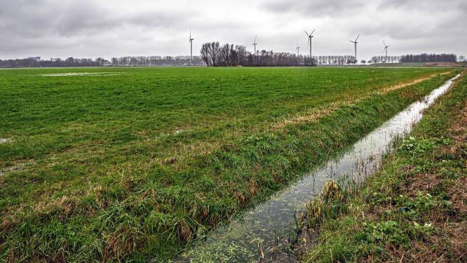 Eneco stapt naar rechter om besluit over megawindturbines Oranjepolder af te dwingen