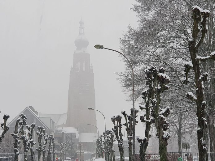 Sneeuw in Hoogstraten.