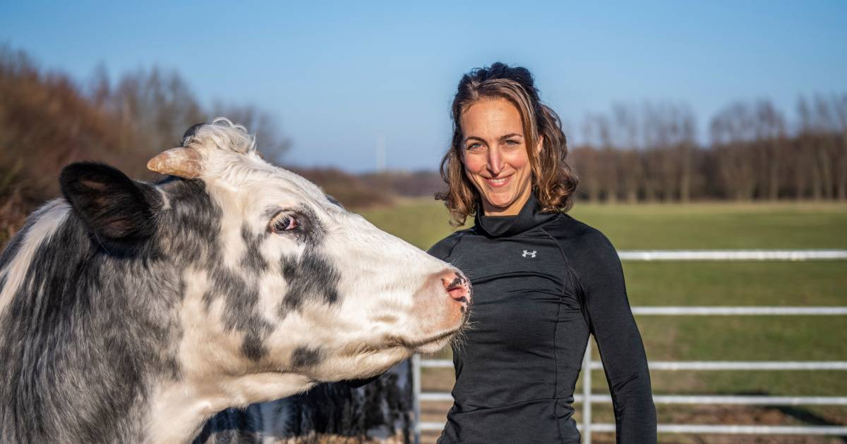 Steven de Muyt wint ook in Aardenburg, Marieke Mullaert pakt zege op langste afstand