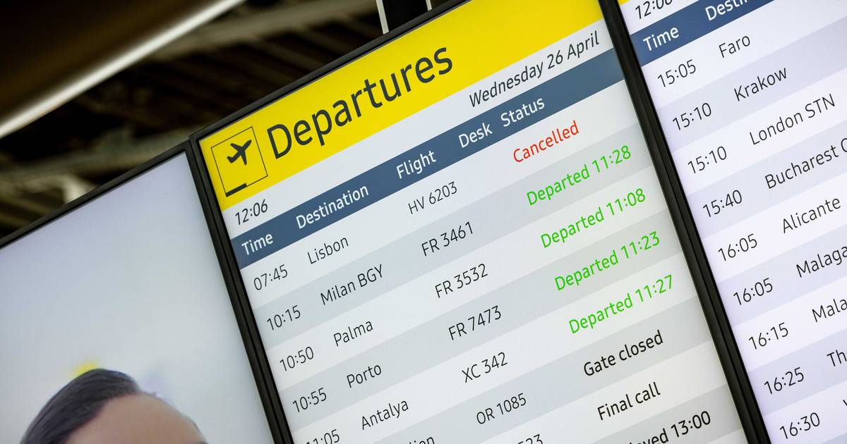 Botsing met vogel dreigt vlootprobleem Transavia te vergroten.
