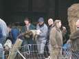 Opnieuw dieren in beslag genomen bij 'slechtste boeren van het land'