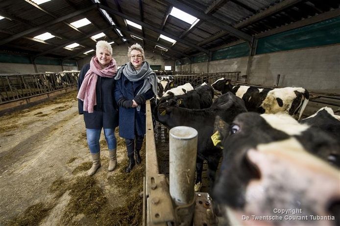 Claudia Krooshof en Marieke Altena houden op 1 april een modeshow in de koeienstal van Krooshof. De koeien hebben een plek op de eerste rij.