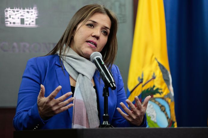 Maria Alejandra Vicuna vult de post nu al ad-interim in.