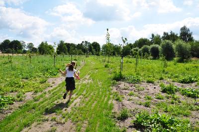 Groen licht: Voedselbos Den Hout komt tussen Vrachelsestraat en sportpark Contreie