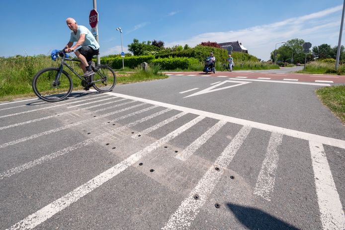 Het snelfietspad, ter hoogte van de de kruising met de Rijkerswoerdsestraat.