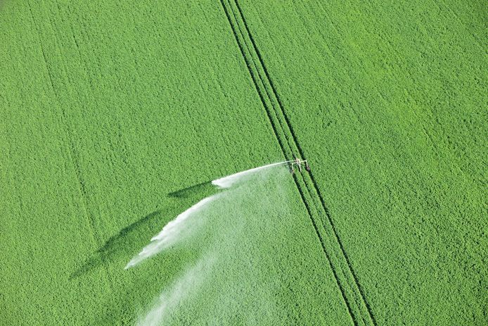 Het Deltaplan Zoet Water moet ervoor zorgen dat er ook in de toekomst voldoende zoet water is voor bewoners, boeren en natuur.