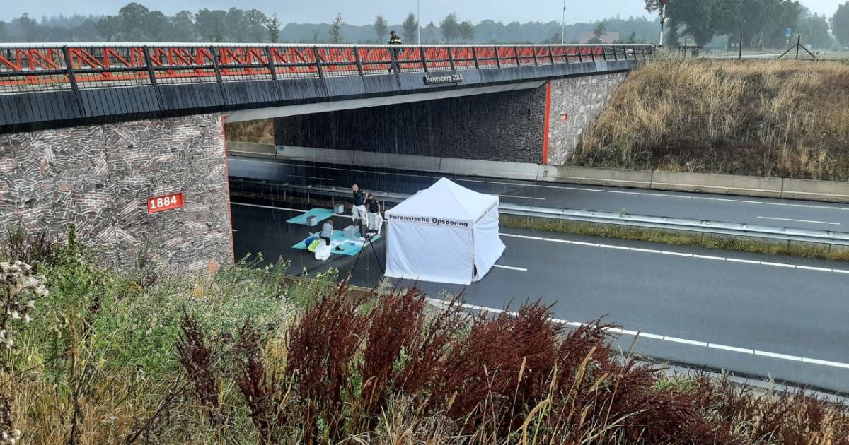 Dode en gewonde vrouw aangetroffen onder brug, gewonde vrouw later aangehouden