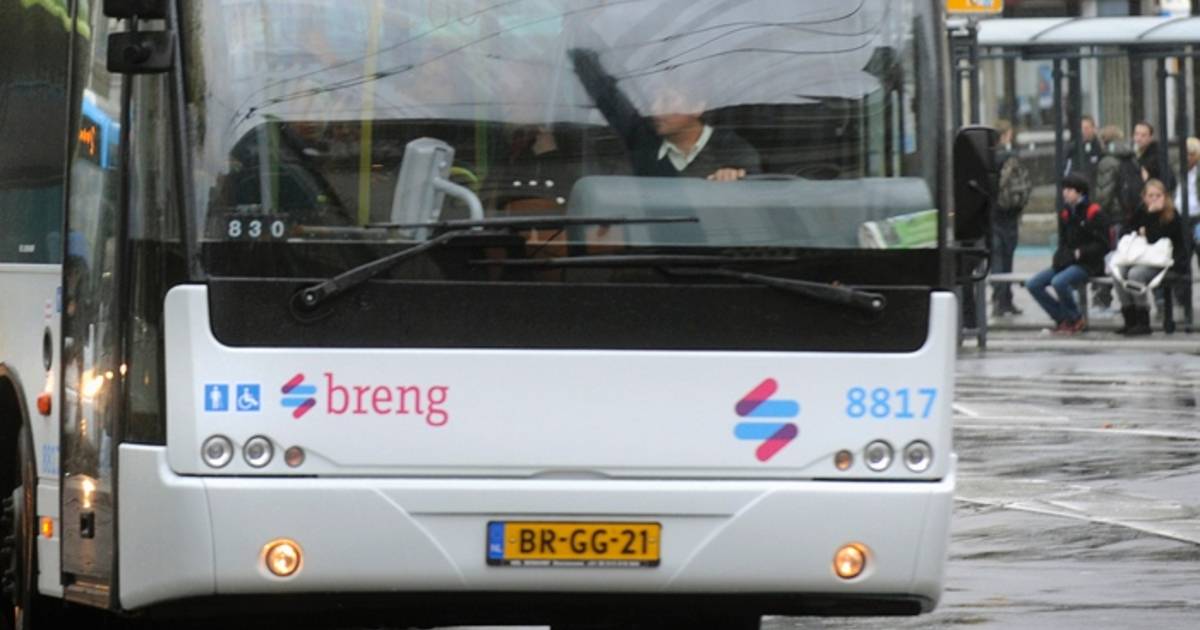 Zo snel als een flits Raad val Nachtbus vanuit Arnhem naar veel meer plaatsen | Arnhem | AD.nl