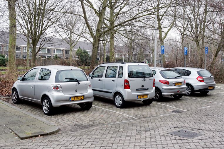 journalist zadel Gentleman vriendelijk De gemiddelde auto op de Nederlandse weg is elf jaar oud | Trouw