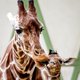 Wat betekent 'dieren in hun waarde laten'?