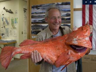 Enorme '200 jaar oude vis' gevangen in Alaska
