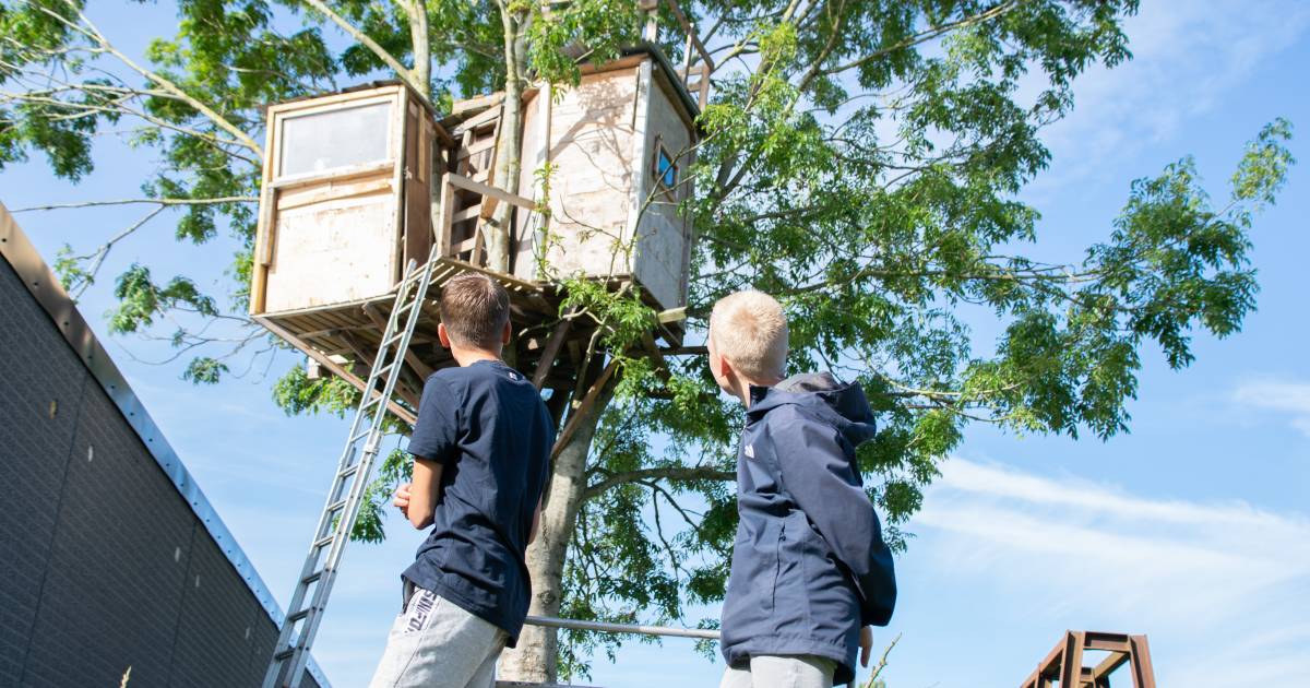 ‘Ik kreeg vanuit de boomhut een hamer op mijn hoofd, het was de beste tijd van mijn leven’