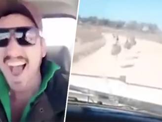 Australië houdt klopjacht op dierenbeul die zichzelf filmde terwijl hij met opzet inreed op 13 emoes