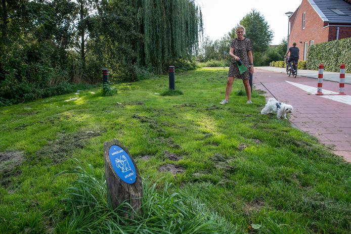 Reiziger redden Zorg Zelf poep scheppen op hondenuitlaatplaats: 'Dat plan kan alleen als je ook  gaat controleren' | Veenendaal | AD.nl