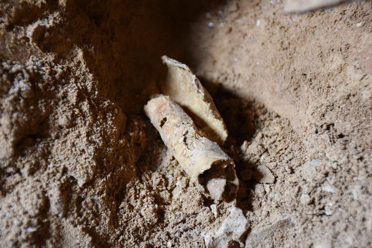 Nieuwe fragmenten uit mysterieuze Dode Zee-rollen ontdekt in grotten in woestijn van Judea | De Morgen