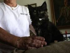Le tueur en série de chats jugé pour ses meurtres