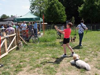 Hondenlosloopweide is nu ook officieel open