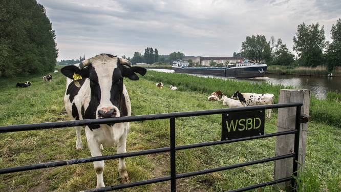 22 kilometer aan West-Brabantse dijken beschermen niet voldoende tegen hoogwater en gaan op de schop