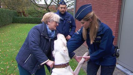 Aflevering 12