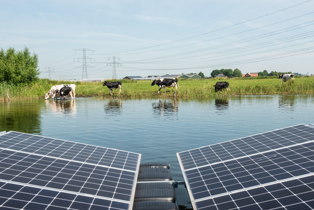 Zonnepanelen in de Bomhofsplas bij Zwolle. Beeld Simon Lenskens