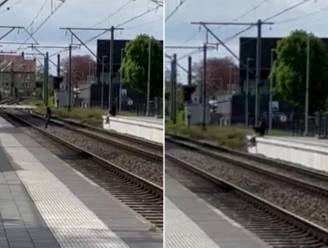 KIJK. Tienermeisjes lopen op sporen om selfie te maken in station van Veurne: “Hallucinante beelden”
