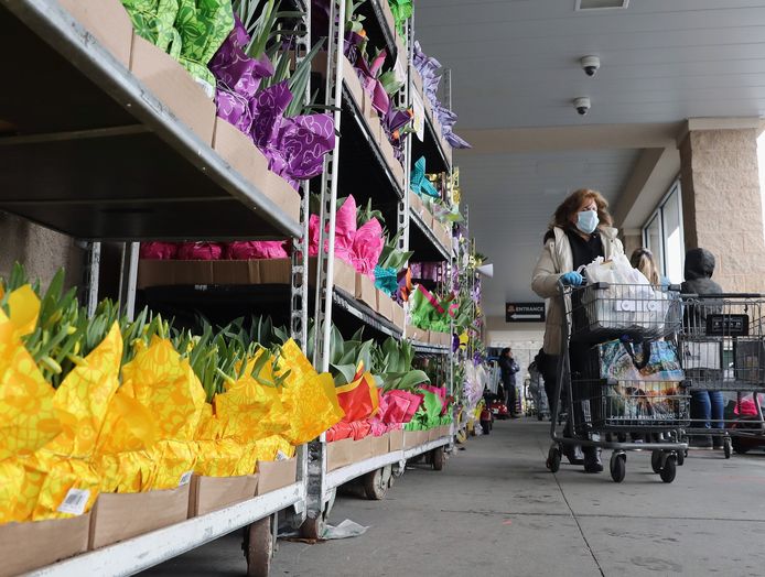 verdieping ambitie stortbui Bloemisten willen verbod op verkoop van bloemen en planten buiten  supermarkten | Binnenland | hln.be