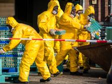 Eíndelijk is er een vaccin tegen vogelgriep: is dit de uitweg uit de crisis?