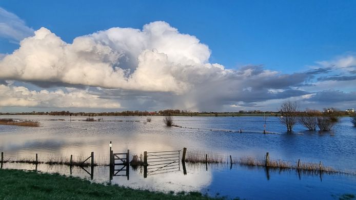 Hoog water in de IJssel bij Zalk.