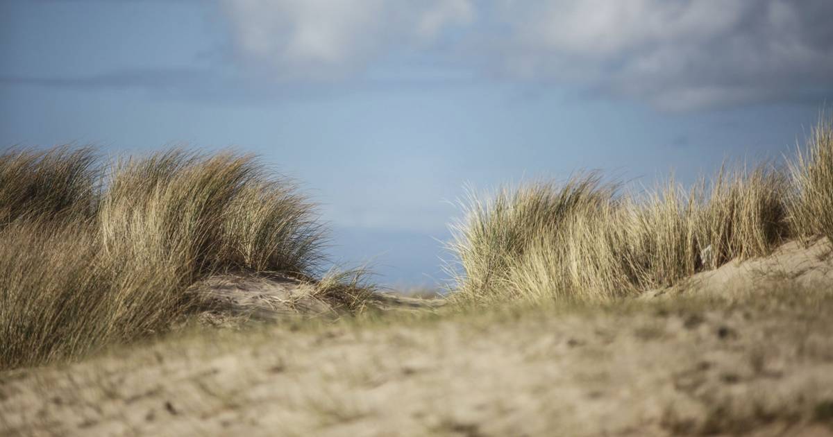 Negatief zwemadvies bij strand Groede vanwege gevaarlijke bacteriën in het water