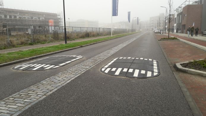 Verkeersremmers op twee plaatsen in De Willem Ruysstraat moeten automobilisten bewegen minder snel te rijden.