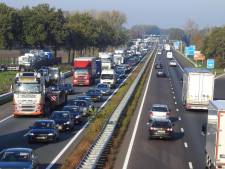Verzinkbare palen tegen filemijders pas effectief in maart