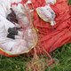 Geen afmeldplicht voor parachutisten
