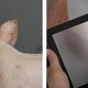 Ook het dierenrijk digitaliseert: varkens gamen, papegaaien videobellen en beren maken selfies