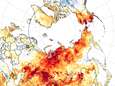 Heet, heter, heetst in het noordpoolgebied: aanslepende hittegolf met nu ook recordtemperatuur baart wetenschappers zorgen