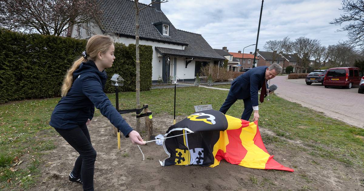 Sanne (11) onthult bordje bij coronaboom in Casteren als herinnering aan de pandemie