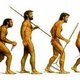 Mens liep zes miljoen jaar geleden al rechtop