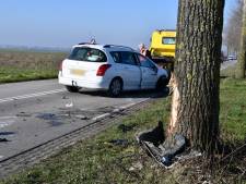 Auto knalt tegen boom in Poortvliet