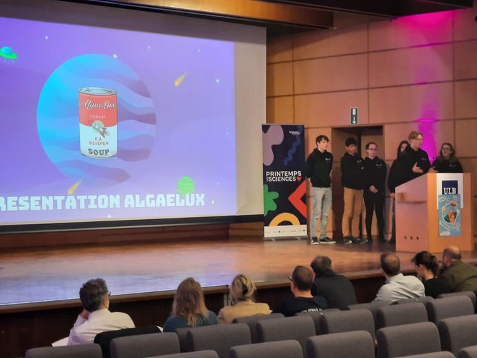 AlgaeLux durante il rendering del progetto tramite le preselezioni.