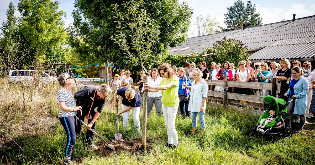 Soroptimisten wandelen voor een groener Ghana; maar wat is dat eigenlijk? Een soroptimist - De Gelde