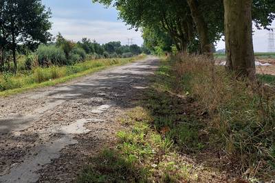 Slecht fietspad langs de Donge wordt opgeknapt en verbreed: ‘Het krijgt een natuurlijke uitstraling’