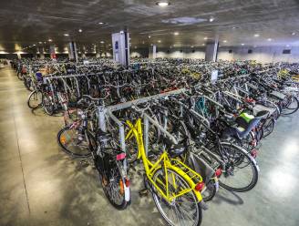 Van karma gesproken: dief pikt fiets... die daarna opnieuw wordt gestolen