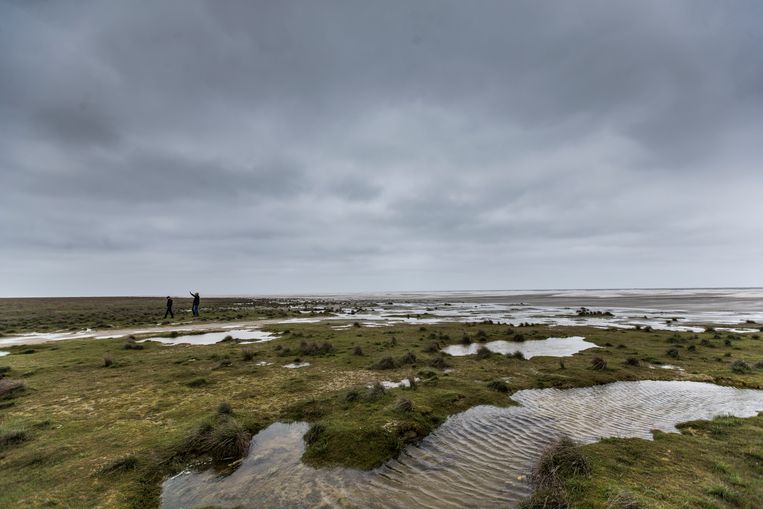 De Waddenzee in de omgeving van Schiermonnikoog. Beeld Hollandse Hoogte /  ANP