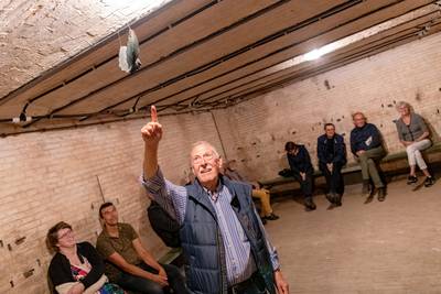 Op zoek naar de vleermuizen in Fort Giessen, ‘Toen ik hoorde dat ze muggen eten, werden we vrienden’