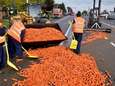 Vrachtwagen verliest zeven ton wortelen
