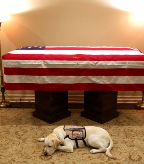 Le chien de George H. W. Bush a fait le job jusqu'au bout