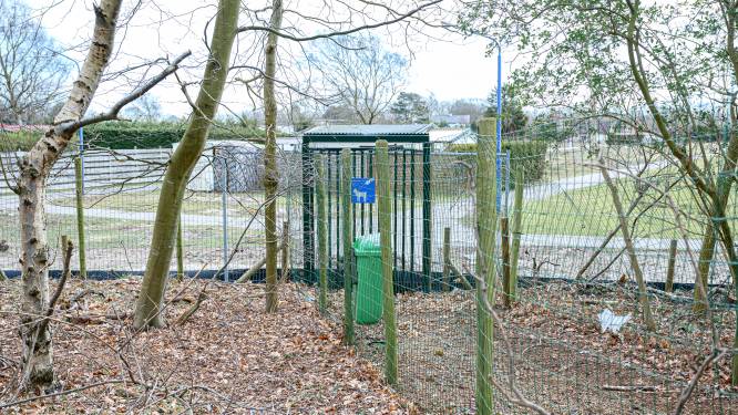 Rechter maakt einde aan ‘pesterij’ camping Duinrand; Het hek moet weer open.