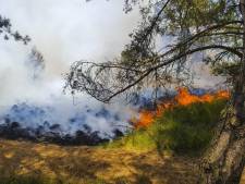 Aantal natuurbranden in Nederland dit jaar flink hoger door droogte