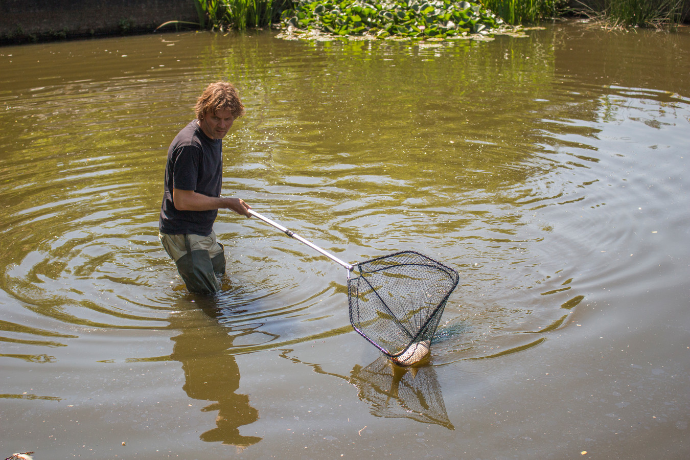 verbod-om-water-uit-openbare-vijvers-te-halen-foto-tubantia-nl