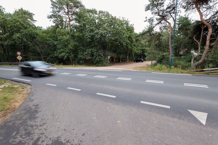De plek waar het klimbos is voorzien aan de Lieshoutseweg.