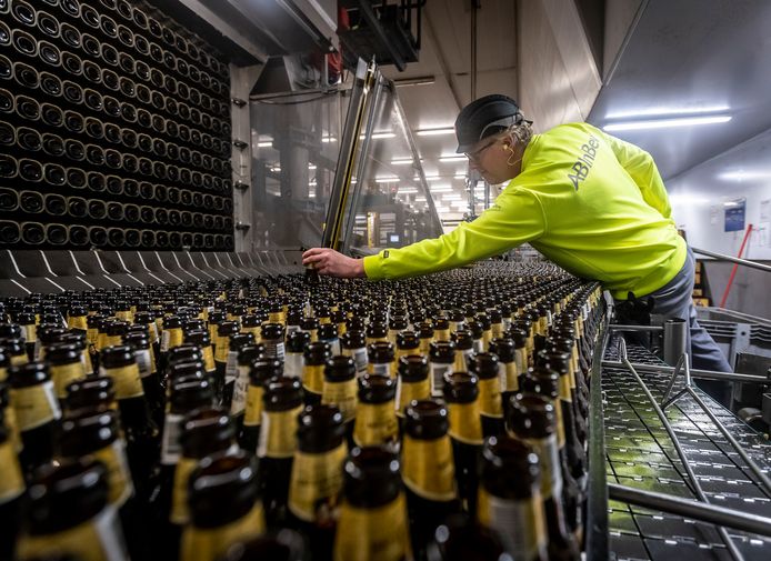 Drukte in de Dommelsch brouwerij, er wordt volop gewerkt. Moeder AB InBev verdiende het afgelopen kwartaal meer aan bier als Dommelsch, Hertog Jan en Jupiler.